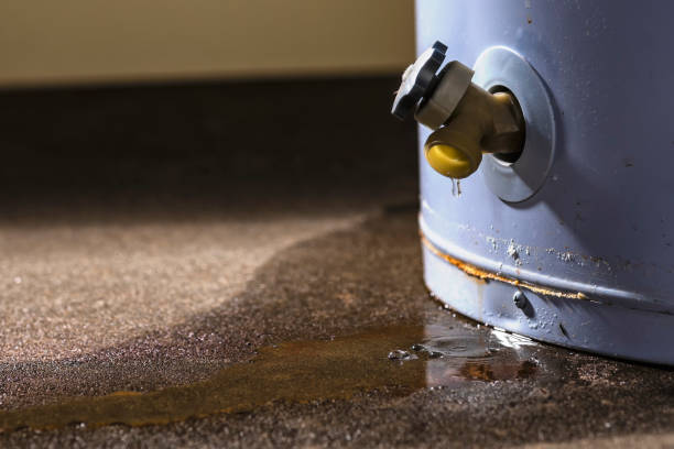 Best Flood damage cleanup  in Ridgway, PA