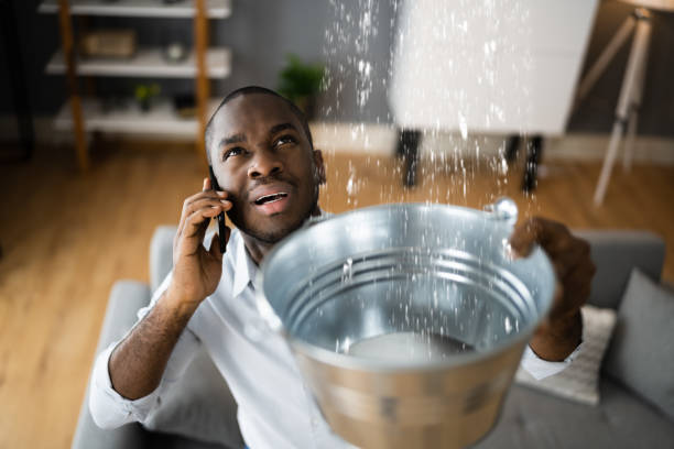 Best Water damage restoration insurance claims  in Ridgway, PA