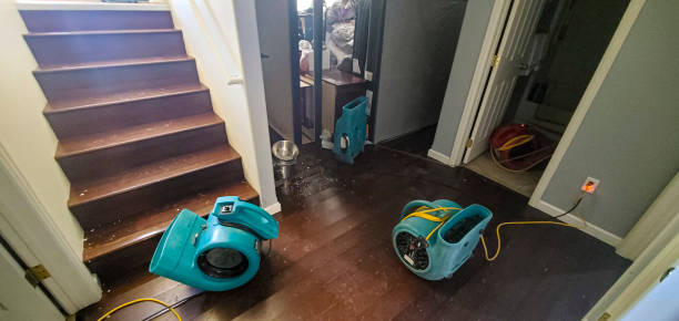 Best Local water damage restoration  in Ridgway, PA
