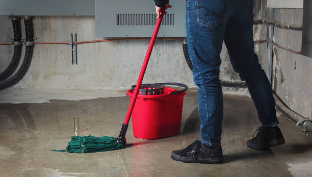 Best Mold removal after water damage  in Ridgway, PA
