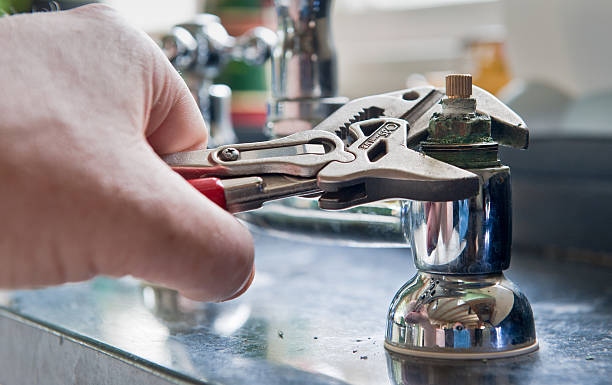 Best Mold removal after water damage  in Ridgway, PA