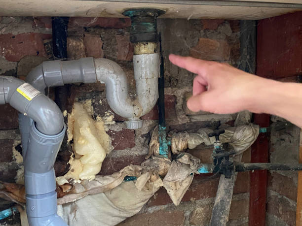 Best Flooded house restoration  in Ridgway, PA